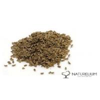 HAVUÇ TOHUMU (İLAÇSIZ VE DOĞAL) 100 GR