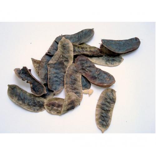 AÇLIK OTU 100 gr