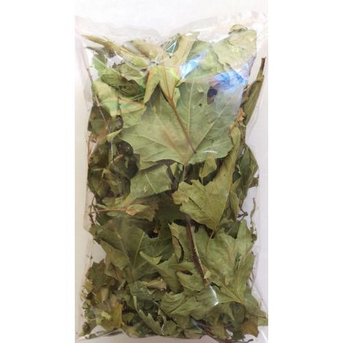 ÇINAR YAPRAĞI 50 GR