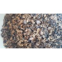 Deniz Kadayıfı - Chondrus crispus125 gr.