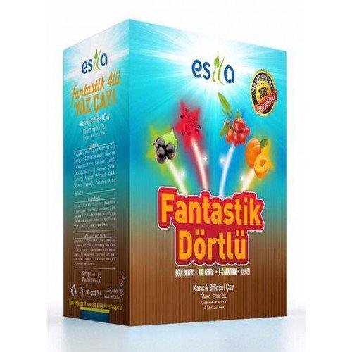 ESİLA FANTASTİK 4'LÜ YAZ ÇAYI