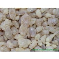 AK GÜNLÜK SAKIZI (SIĞLA AĞACI SAKIZI) 100GR