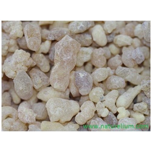 AK GÜNLÜK SAKIZI (SIĞLA AĞACI SAKIZI) 100GR