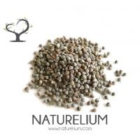 HAYIT TOHUMU 250 GR