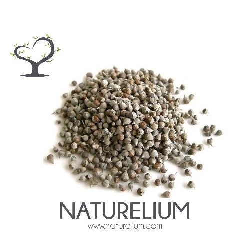 HAYIT TOHUMU 250 GR