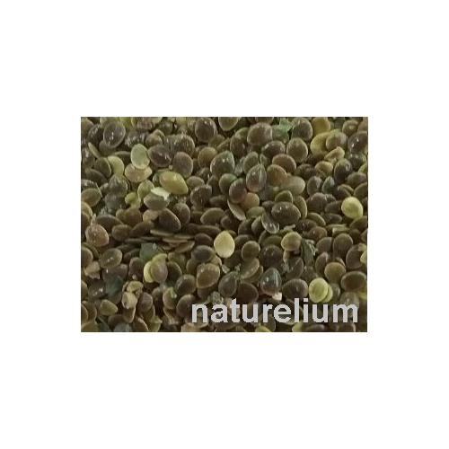 ISIRGAN TOHUMU 100 GR