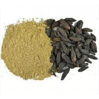 KARA HALİLE TOZ 100 GR