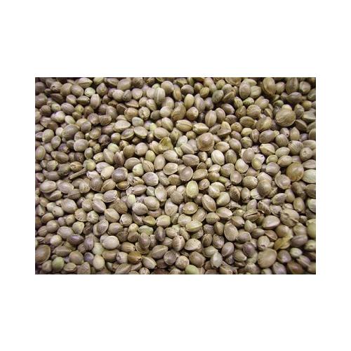 KENEVİR TOHUMU (KENDİR TOHUMU) 100 GR