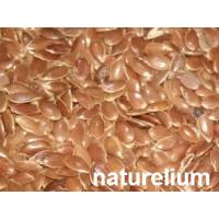KETEN TOHUMU 500gr