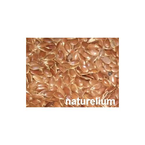 KETEN TOHUMU 500gr