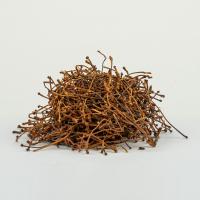 KİRAZ SAPI 100 GR 