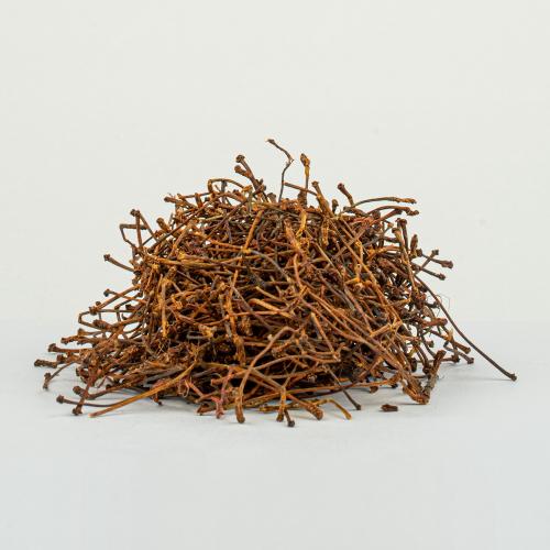 KİRAZ SAPI 100 GR 