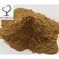 SAF TOZ PROPOLİS 25 GR