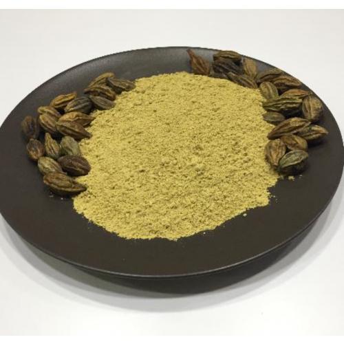 SARI HALİLE TOZ 100 GR