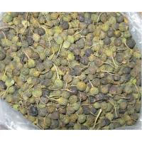 Acı Çehre Tohumu 16 gr