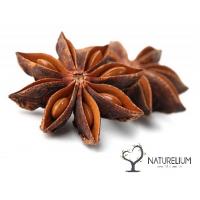 Yıldız Anason 100 gr