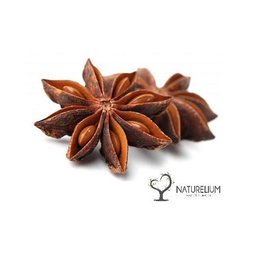 Yıldız Anason 100 gr