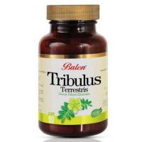 BALEN TRİBULUS TERRESTRİS - DEMİR DİKENİ EKSTRAKTI 500 MG * 60 KAPSÜL