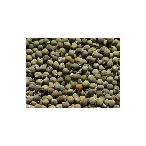 Bamya Tohumu 250 gr (tane)