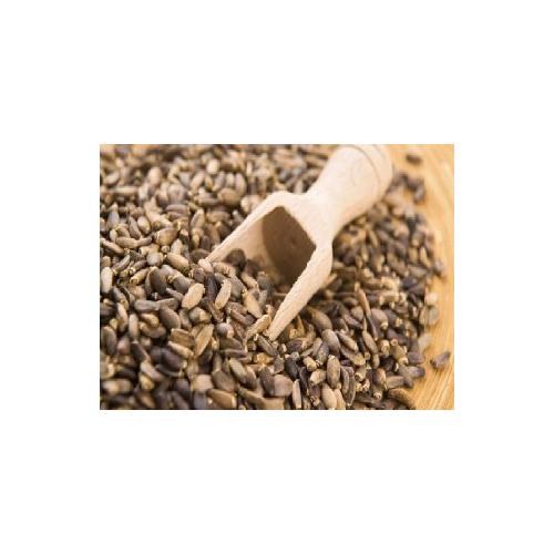 Deve Dikeni Tohumu Tane 250 gr