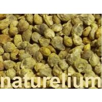 ISPANAK TOHUMU 100 GR