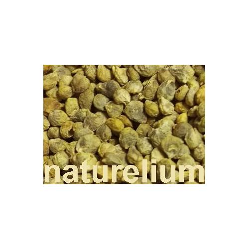 ISPANAK TOHUMU 100 GR