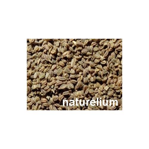 KEREVİZ TOHUMU 100 GR