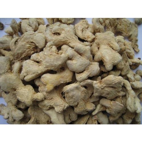 ZENCEFİL KÖK 100 GR