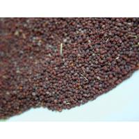 Kara Hardal Tohumu 250 gr