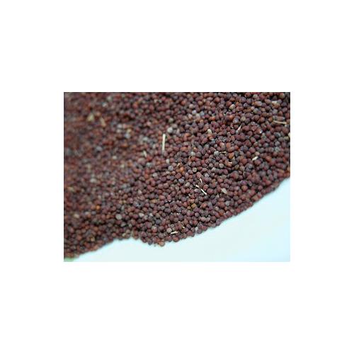 Kara Hardal Tohumu 250 gr