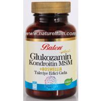 Glukozamin Kondroitin MSN +BOSWELLIA 1200 mg 120 TABLET